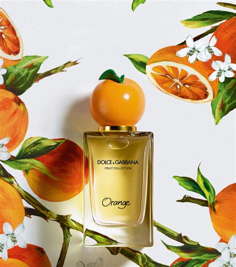 dolce gabbana fruit collection orange